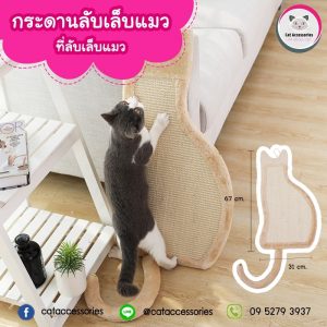 แผ่นลับเล็บแมว